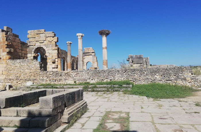 Day trip from fes to volubilis